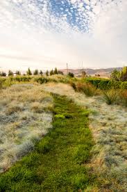 The aala regulates the profession of landscape architecture in alberta through promoting awareness and understanding of landscape architects' roles. Greenlee Associates Cornerstone Garden Sonoma Ca Landscape Architect