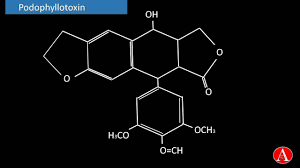 Image result for Podophyllotoxin