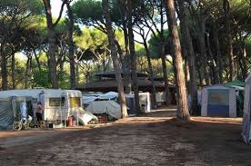 I viaggi nazionali non sono soggetti a limitazioni ma potrebbero esserci alcune condizioni. Nice For Caravans Picture Of Camping Mare E Pineta Lido Degli Estensi Tripadvisor