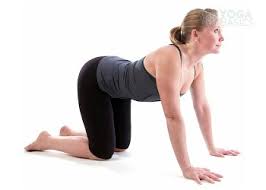 Press the sacrum and tailbone down into the floor as you press the heels up and pull back with the arms. Happy Baby Pose Pose Ananda Balasana Instructions Photos Yoga Basics