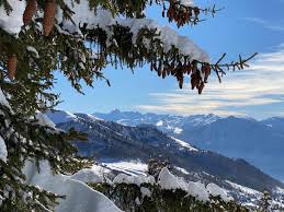 Profile for Chalets Des Fées