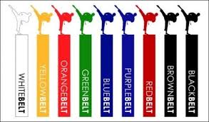 Karate Martial Arts Belts 9 Color Solid Belts All Sizes Choose One Color Martial Arts Belts Karate Belt Karate Martial Arts