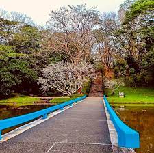 Tigasouth Ka Ba Japanese Garden In Cavinti Laguna C Facebook