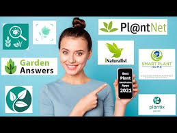 It has pictures of plants and parts of the plants. 19 Best Plant Identification Apps For 2021 Balcony Garden Web