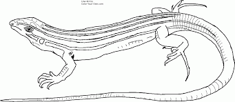 Lizard Coloring Pages Yahoo Image Search Results Animal Coloring Pages Coloring Pages Snake Coloring Pages