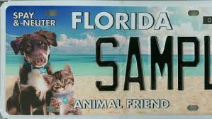Maybe you would like to learn more about one of these? University Of Miami Bear Nascar Florida Specialty Plates Get New Look