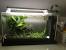 2 Gallon Betta Fish Tank