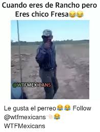 25 Best Memes About Fresas Fresas Memes