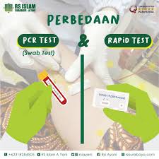 Perbedaan Pcr Rapid Test Rs Islam Surabaya