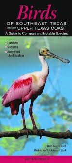 Birds Of Southeast Texas Birds Of Southeast Texas And The Upper Texas Coast A Guide To Common And Notable Species Quick Reference Guides By Gary Cl Texas Coast Birds Texas