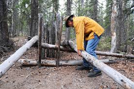 Image result for deadfall trap