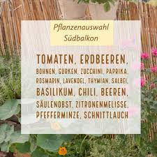 Selbstversorger Balkon Die Basics Garten Fraulein Der Garten Blog Pflanzen Fur Sudbalkon Pflanzen Balkon Pflanzen