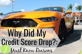 A credit report is a comprehensive history of how much and how often you borrow or pay down credit cards or loans. Why Did My Credit Score Drop Suddenly Frugal Rules
