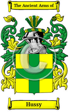 Hussy Name Meaning, Family History, Family Crest & Coats of Arms