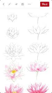 In this step, we teach you how to draw lotus leaf. Fraulen Austen Diy Flowers Flower Drawing Flower Drawing Tutorials Easy Flower Drawings