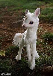 Baby Unicorn Sevimli Hayvan Yavrulari Komik Hayvan Hayvan Yavrusu