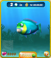 Whether you approve of hybrid fish or not, these wonderful blood red parrot cichlids are here to stay. Blue Parrotfish Nemo S Reef Wiki Fandom