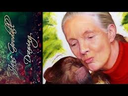 Jane Goodall and Chimpanzee Drawing #AmbroJordiArt