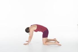 Find The Yoga Asana To Match Your Astrological Sign Yoga Asana Astrology Signs