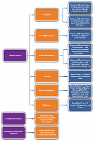 6 1 the insanity defense criminal law