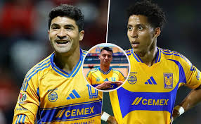 Bolavip - News update