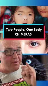 Chimera Humans