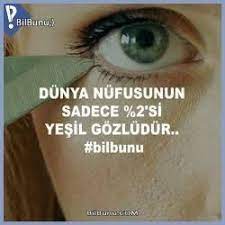 Renkli Gozler Icin Sozler Ile Ilgili Gorsel Sonucu Guzel Soz Yesil Yesil Gozler