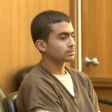 New photos show grisly scene where 13-year-old stabbed mother to death