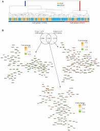 Jcm Free Full Text Molecular Profiling Of Cutaneous