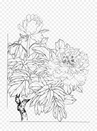 Download Floral Flower Background