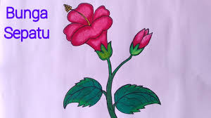 Kumpulan mewarnai gambar bunga indonesia alamendah s blog. Cara Yang Mudah Menggambar Bunga Sepatu Cara Menggambar Dan Mewarnai Bunga Youtube