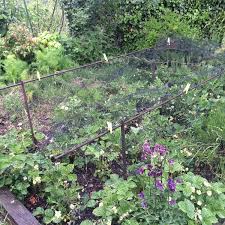 Spring steel rods for tunnels, perfect in combination with garden fleece as well as shade… Garden Products Ornamental Metalwork Norfolk Estate Fencing