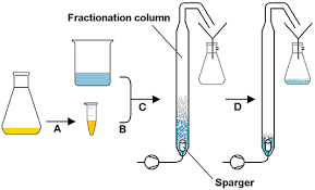 Charged aerosol detection will increase the utility of your vanquish uhplc system. Frontiers Genetic Cell Surface Modification For Optimized Foam Fractionation Bioengineering And Biotechnology