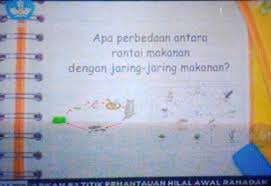 Apa Perbedaan Antara Rantai Makanan Dengan Jaring Jaring Makanan Kelas 4 6 Tvri Brainly Co Id