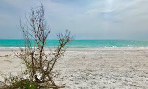 The quaint feel of anna maria island makes it the perfect place to eat grouper sandwiches and kayak with dolphins. Top 10 Things To Do On Anna Maria Island Florida Florida Rental By Owners