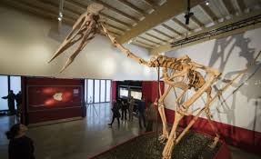 Detine peste 8 milioane de obiecte detine peste doua milioane de exponate, care acopera o istorie vasta din intreaga lume. InvitaÈie La Muzeul Dinozaurilor Din Almuhlthal PuteÈi Admira Cel Mai Mare Pterozaur GÄsit VreodatÄ Descoperit In Zona Sebes Ziarul Romanesc Germania
