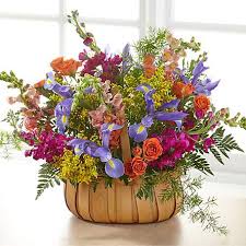 Sign up for free today! Iris Flower Iris Plants And Arrangements Delivered By Ftd