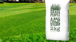 Covers up to 55 square metres (590 square feet) for overseeding existing lawns. Best Grass Seed 2021 The Best Seed Mixes For Busy Gardens And Beautiful Lawns Expert Reviews