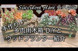 111 多肉植物 succulent 多肉用のウッドプランター作り diy これまで作った木箱の寄せ植えご紹介 100均の木箱を土台にオリジナルのウッドプランターを作ります youtube ウッドプランター 多肉植物 プランター