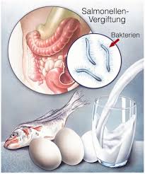 Diese beschwerden treten oft bereits nach einer bis wenigen stunden auf, nachdem der giftstoff in den körper gelangt ist. Lebensmittelvergiftung Ursachen Beschwerden Therapie Gesundpedia De