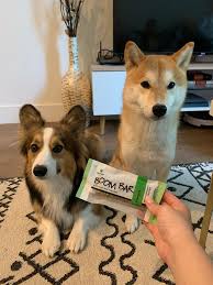 Nov 22, 2017 · the siberian husky breed originated as an endurance sled dog of the chukchi people of northeastern asia. 8 Pet Friendly Cbd Treats That Help Treat Joint Pain And Nerves Urbanmatter