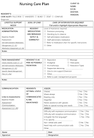 File Figure 3 1 An Example Of A Nursing Care Plan In An