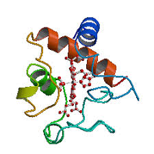 Martin Protean Also protein clipart chicken available at png transparent variant. best animations gif