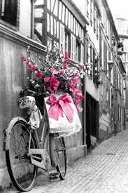 Love This Pic In Black And White With The Color Added Bilder Schwarzes Bild Altes Fahrrad