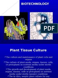 1.2.1 initiation of regenerable callus 1.2.2 suspension culture and regeneration 1.2.3 protoplast production and regeneration. Organogenesis Pdf Plant Hormone Seed
