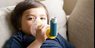 Māori asthma researcher wins Health Award