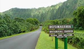 Hiking Hoomaluhia Botanical Gardens In Oahu Hawaii Com Botanical Gardens Oahu Hawaii Travel