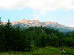 It administers one village, tohanu nou. Zarnesti Romania Mapio Net