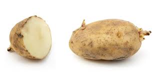 Image result for Solanum tuberosum