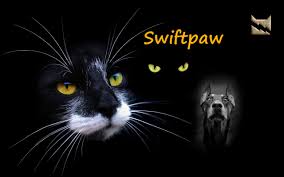 We have a massive amount of desktop and mobile backgrounds. Warrior Cats Wallpapers Top Free Warrior Cats Backgrounds Wallpaperaccess